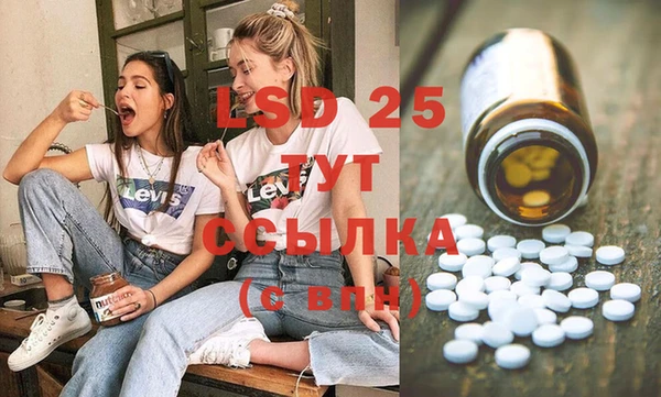 PSILOCYBIN Армянск