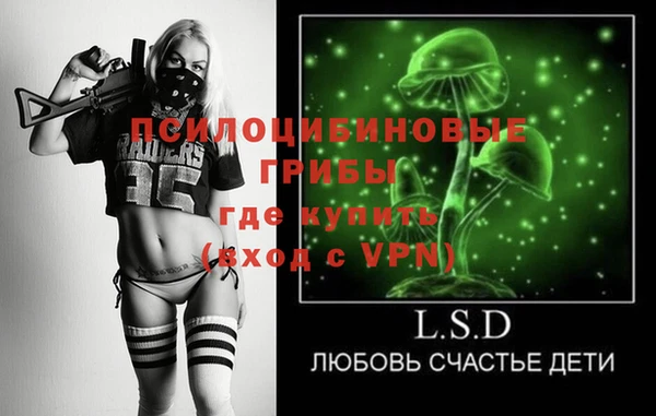 PSILOCYBIN Армянск