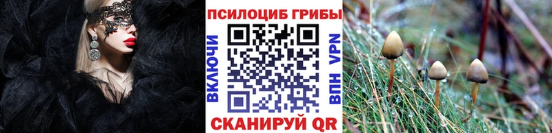 Галлюциногенные грибы MAGIC MUSHROOMS  Белинский 